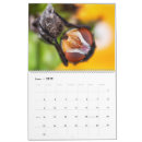 Buscar mosca calendarios Fotografía