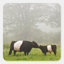 Buscar brumoso pegatinas Naturaleza
