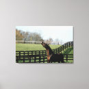 Buscar partes del caballo posters Escena rural