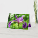 Buscar iris salvaje tarjetas Flor