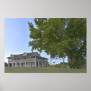 Buscar estera posters Florida