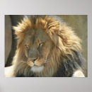 Buscar cierre para arriba posters Naturaleza