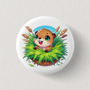 Buscar castor chapas Naturaleza