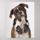 Buscar auricular posters Humor
