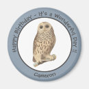 Buscar lechuza imanes Vintage