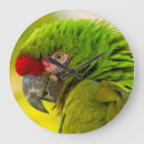 Buscar illg gordon de relojes de pared Aviar