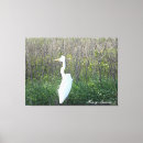 Buscar murales mascotas General y unisex