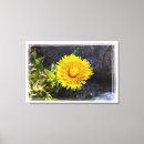 Buscar dandelion lienzos Amarillo
