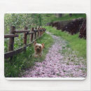 Buscar yorkshire alfombrillas de raton Terrier