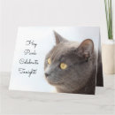 Buscar punk tarjetas General y unisex