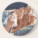 Buscar toro posavasos País