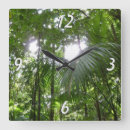 Buscar dominicano relojes de pared Selva tropical