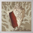 Buscar sonetos posters Conchas