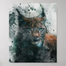 Buscar lynx arte Vida silvestre