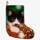 Buscar travieso calcetines navideños Gatito