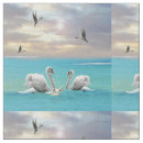 Buscar cisne blanco telas Cisnes