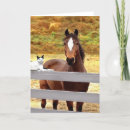 Buscar arte árabe tarjetas Caballos