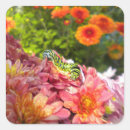 Buscar torcedura Floral