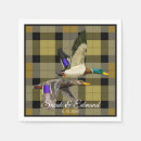 Buscar patos Patos mallard