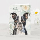 Buscar perro del terrier de boston tarjetas General y unisex