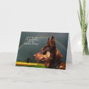 Buscar australia mascotas Simpatía