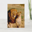 Buscar namibia tarjetas Animal
