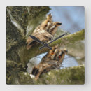 Buscar búhos relojes de pared Aves