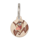 Buscar mascotas Demonio tasmaniano