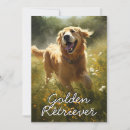 Buscar golden retriever tarjetas Amante del perro