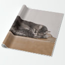 Buscar gatos grises papel de regalo General y unisex