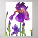 Buscar pintura del iris posters Para ella