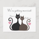 Buscar gatos en amor invitaciones Lindo