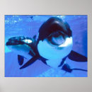 Buscar boca abierta posters General y unisex
