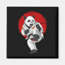 Buscar kickboxing imanes Judo