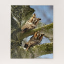 Buscar búhos puzzles Aves
