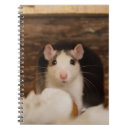 Buscar rat oficina escuela Adorable