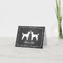 Buscar caniches tarjetas Para todos