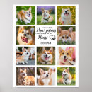Buscar monumento del perro posters Simpatía
