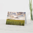 Buscar puesta del sol tarjetas Flor