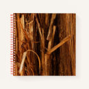 Buscar cortezas de madera General y unisex