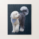 Buscar bufandas puzzles Animal