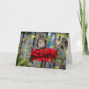 Buscar z tarjetas General y unisex