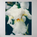 Buscar floreciendo posters Floral