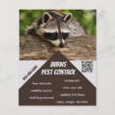 Buscar insectos flyers Control de plagas