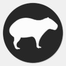 Buscar capybara pegatinas Diversión