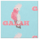 Buscar galah Rosa