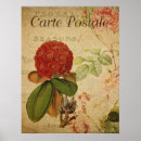 Buscar botánico francés posters Vintage