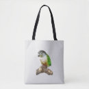 Buscar conure Ave