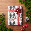 Buscar border collie papel de regalo Contenido generativo