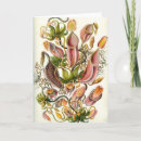 Buscar carnívoro tarjetas Botánico